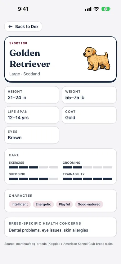 Bokedex breed profile for the Golden Retriever: height 21–24 in, weight 55–75 lb, life span 12–14 years, care meters, character traits and health notes.