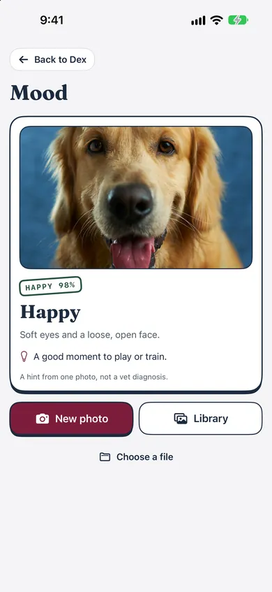 Bokedex Mood result: a golden retriever photo read as Happy at 98%, “Soft eyes and a loose, open face”, with a tip.