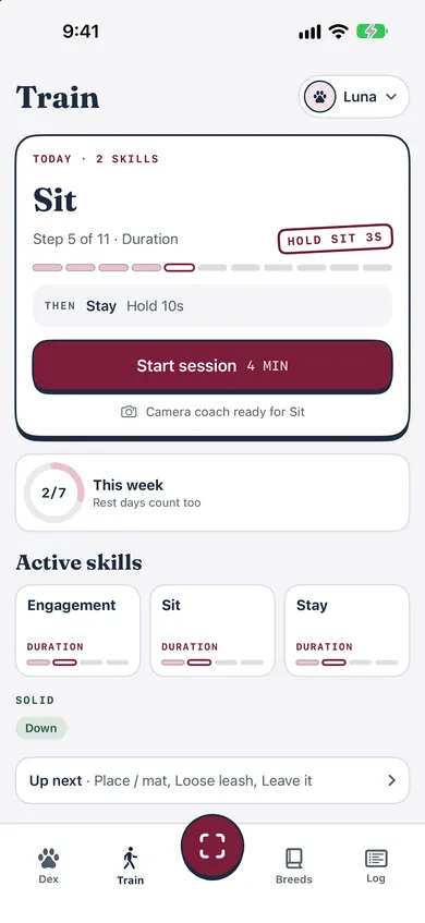 Bokedex Train screen: today's plan with Sit at step 5 of 11, Stay next, and this week's progress.