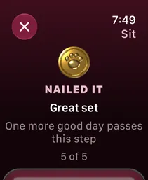 A set result on Apple Watch: a gold paw medal, Nailed it, Great set, 5 of 5.