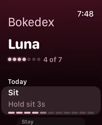 Bokedex on Apple Watch: Luna, 4 of 7 training days this week, and today's skill Sit, hold sit 3 seconds.