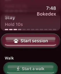 Today on Apple Watch: the next skill, Stay, hold 10 seconds, a Start session button and the Walk section.